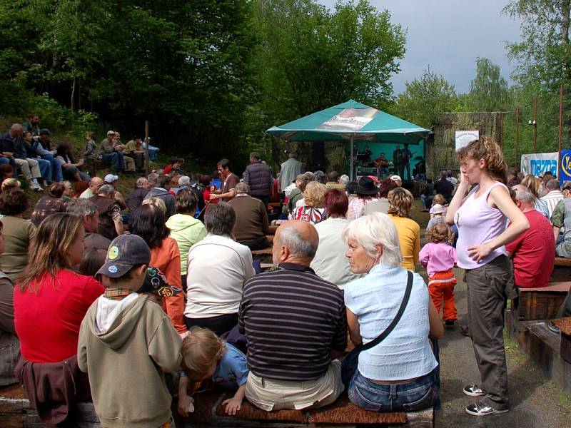 Salajnský žebřiňák 2008