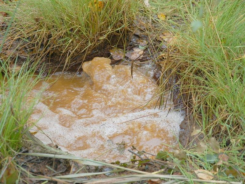 Unikátní státní přírodní rezervace Soos u Františkových Lázní je opět o něco atraktivnější.