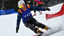 Čtvrtý ročník FIS Evropského poháru ve snowboardingu se konal v Mariánských Lázních.