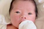 LOC DANG DINH se narodil ve čtvrtek 18. července v šest hodin ráno. Při narození vážil 3 550 gramů a měřil 52 centimetrů