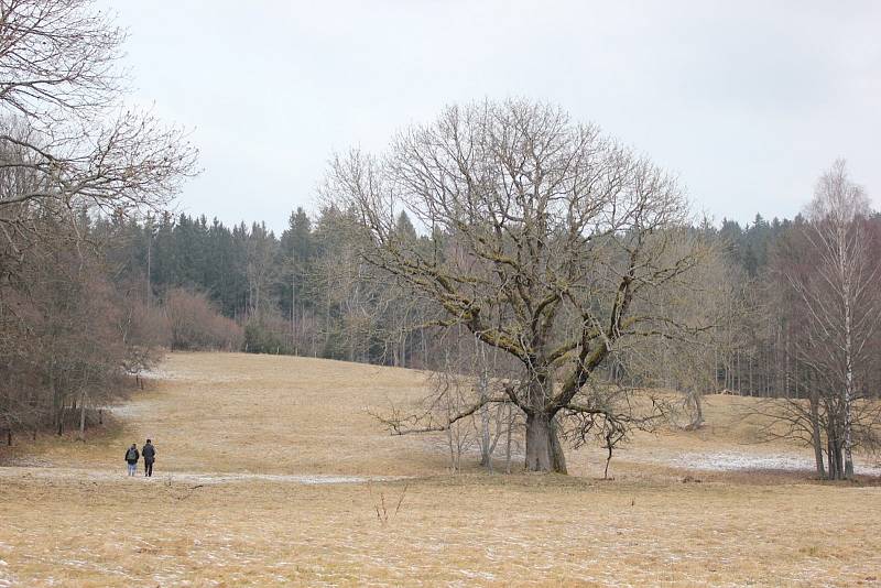 Fotoklub se vydal poznávat krasové jevy pod Dylení