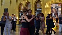 Argentinské tango tančili na kolonádě v Mariánských Lázních.