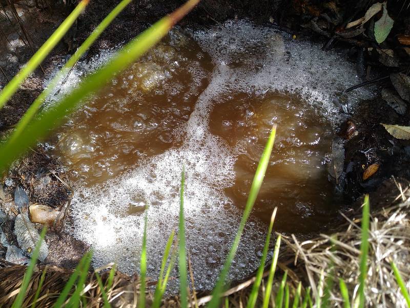 Největší únik oxidu uhličitého na západě Čech. Tak lze v krátkosti představit přírodní zajímavost na Chebsku. Její název je Bublák a nachází se asi dvanáct kilometrů od centra Chebu u obce Vackovec.