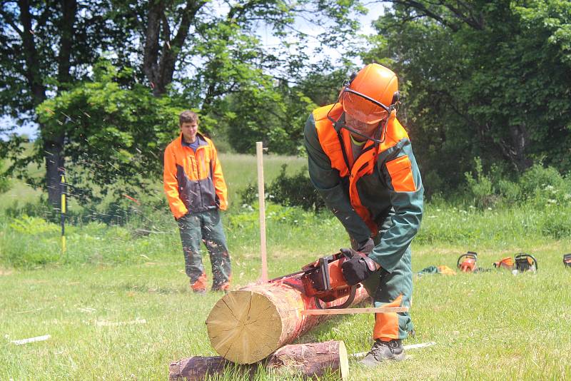 PRAPILA. Srandamač dřevorubců se v Pramenech uskutečnil už potřetí. Adepti na vítěze museli ukázat například i to, jak si poradí s odvětvováním.