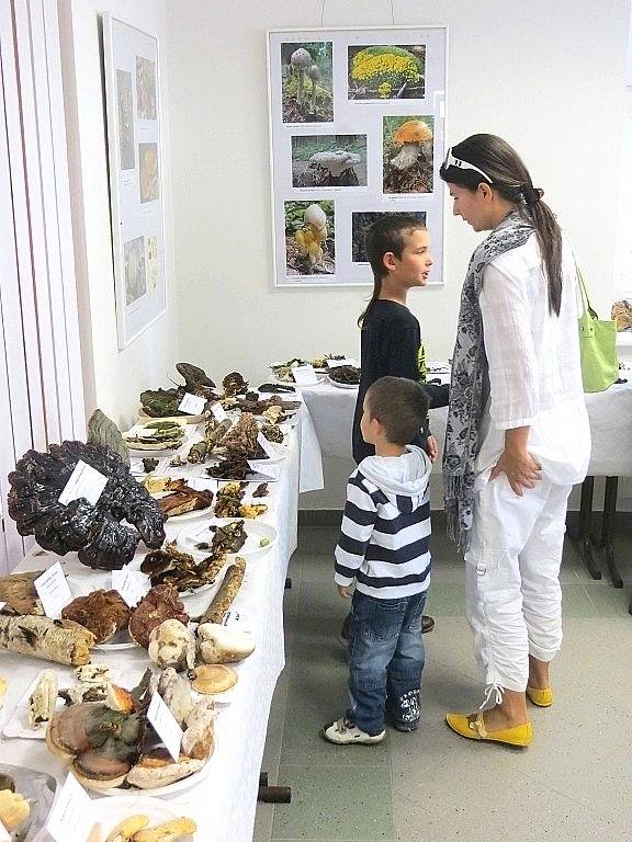 Téměř tisíc lidí zavítalo o víkendu na výstavu hub do Mariánských Lázní. 