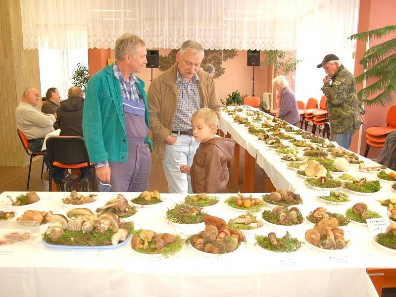  Nejen senioři si mohli prohlédnout celkem sto čtyřicet druhů hub v Domově pro seniory na chebském sídlišti Skalka. 