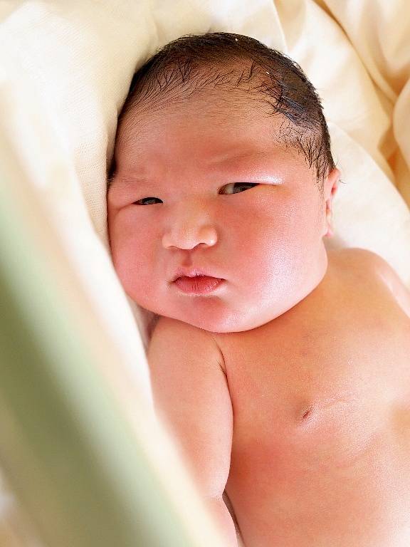 PHONG DO THANH se narodil v sobotu 8. března v 5.08 hodin. Při narození vážil 4 180 gramů a měřil 52 centimetrů. Doma v Aši se z malého synka raduje maminka Van Le Thi Thuy.