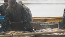   A ŠUP DO KÁDĚ. Rybáři vylovili největší rybník Karlovarského kraje, Amerika u Františkových Lázní