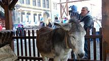 Letošní jedinečné vánoční trhy na chebském náměstí i přes týden lákají mnoho Chebanů i lidí z okolí.