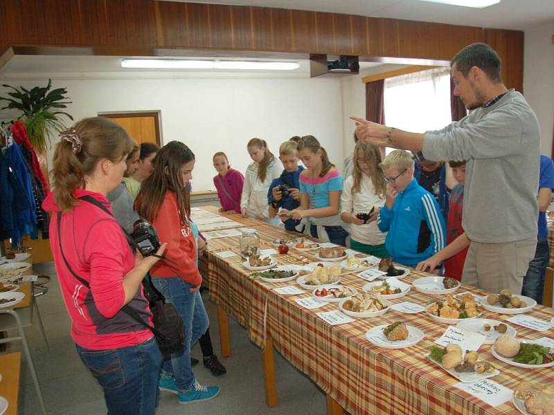 Ekologické centrum v Chebu  zaplnilo sto padesát druhů hub.