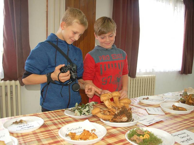 Ekologické centrum v Chebu  zaplnilo sto padesát druhů hub.