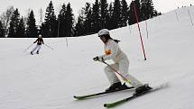 Šestý ročník Auto Musil Ski Area Open 2011 se vydařil.