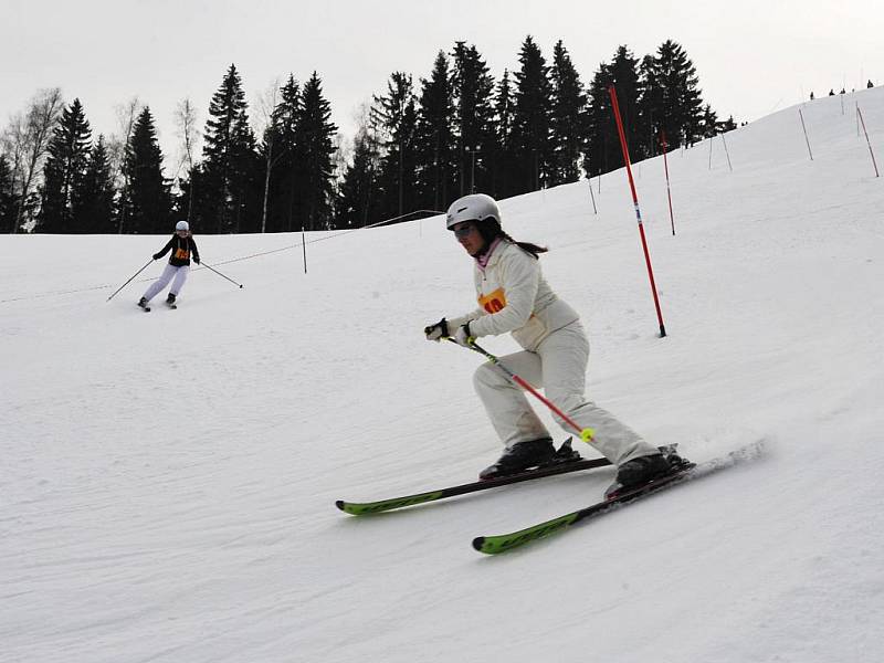 Šestý ročník Auto Musil Ski Area Open 2011 se vydařil.