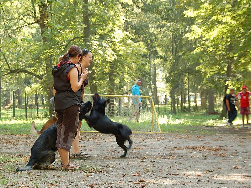 Dva měsíce bez školy se tak pomalu, ale jistě stávají minulostí. Na mnoha místech regionu  se  školáci mohli s prázdninami rozloučit.  Tak tomu bylo také ve františkolázeňském přírodním divadle (na snímku).