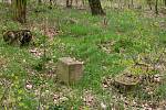 Zanedbaný prostor hřbitova válečných zajatců z 1. světové války v Chebu - Podhradě