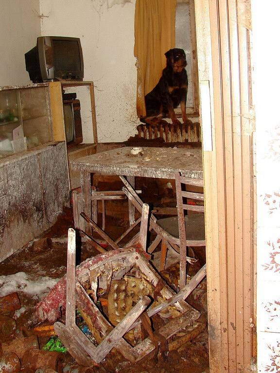 Dům v Kaceřově, kde veterináři našli týraného psa