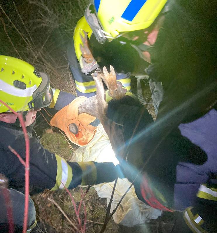 Hasiči vysvobodili malého srnce u Lesního pramene, zasahovali také u nehod