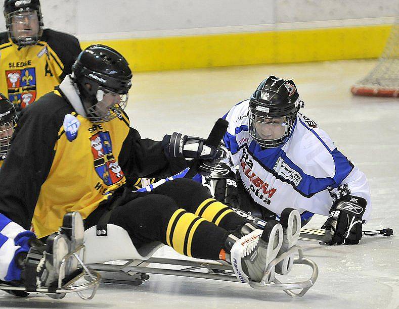 PATNÁCT BRANEK nastříleli sledgehokejisté SKV Sharks Karlovy Vary soupeři ze Studénky na zimním stadionu v Chebu. Dvě branky a dvě asistence si připsal na své konto také chebský Hrbek  hájící karlovarský a reprezentační dres..  