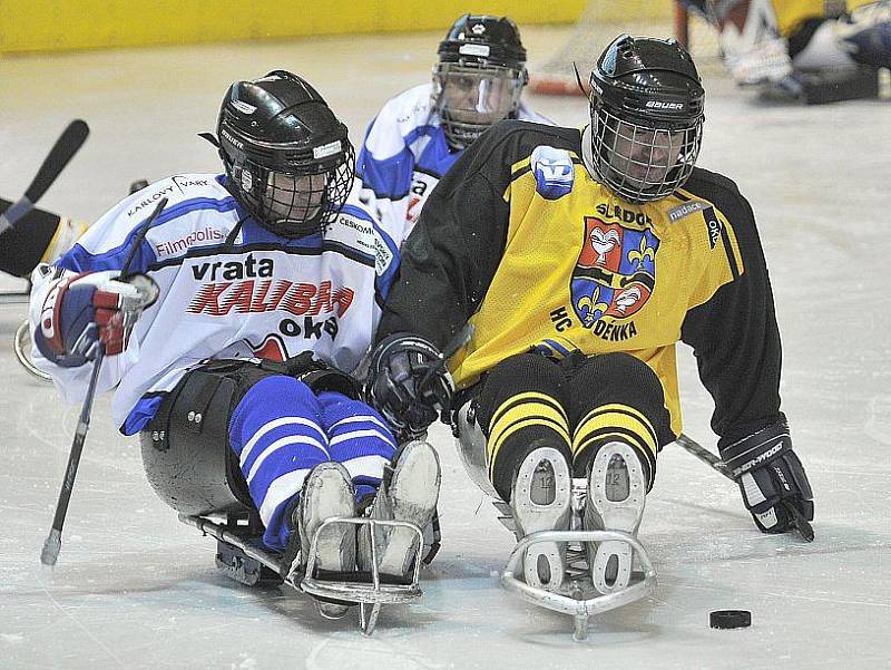 PATNÁCT BRANEK nastříleli sledgehokejisté SKV Sharks Karlovy Vary soupeři ze Studénky na zimním stadionu v Chebu. Dvě branky a dvě asistence si připsal na své konto také chebský Hrbek  hájící karlovarský a reprezentační dres..  