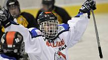 PATNÁCT BRANEK nastříleli sledgehokejisté SKV Sharks Karlovy Vary soupeři ze Studénky na zimním stadionu v Chebu. Dvě branky a dvě asistence si připsal na své konto také chebský Hrbek  hájící karlovarský a reprezentační dres..  