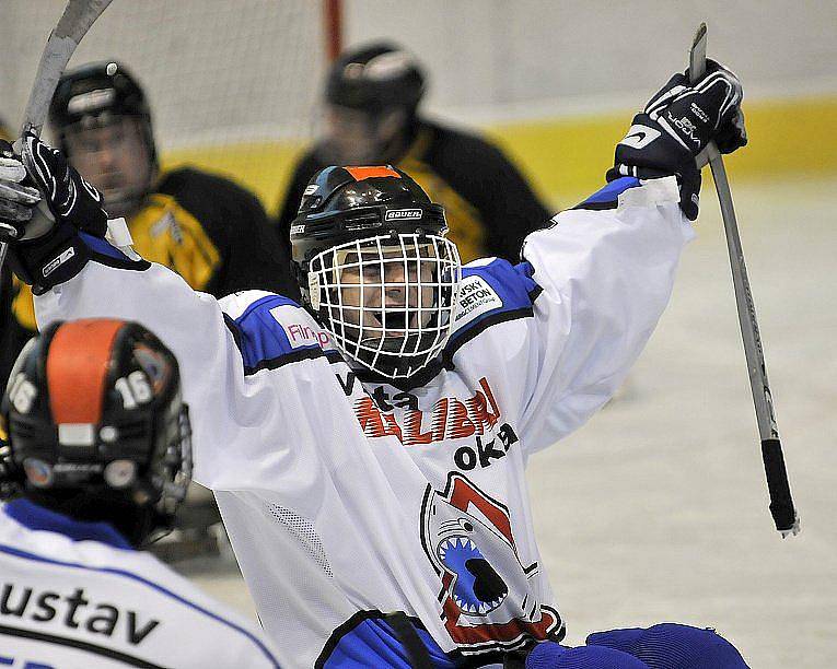 PATNÁCT BRANEK nastříleli sledgehokejisté SKV Sharks Karlovy Vary soupeři ze Studénky na zimním stadionu v Chebu. Dvě branky a dvě asistence si připsal na své konto také chebský Hrbek  hájící karlovarský a reprezentační dres..  