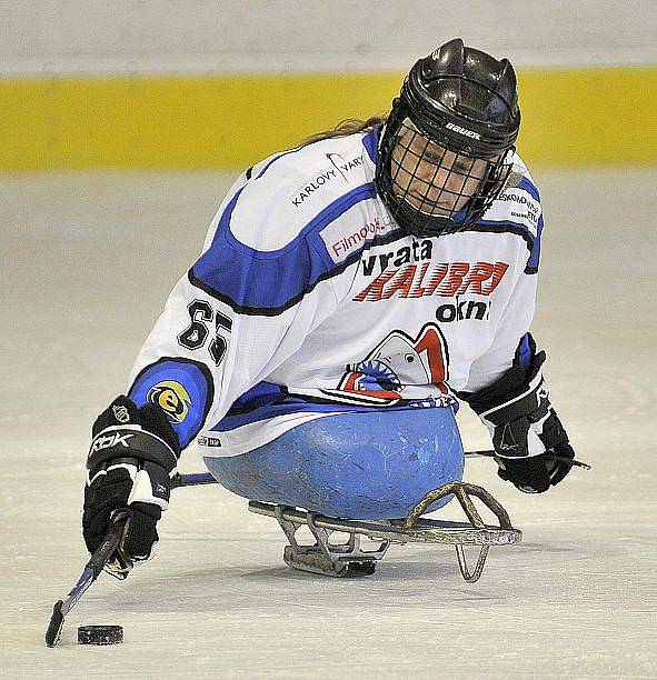 PATNÁCT BRANEK nastříleli sledgehokejisté SKV Sharks Karlovy Vary soupeři ze Studénky na zimním stadionu v Chebu. Dvě branky a dvě asistence si připsal na své konto také chebský Hrbek  hájící karlovarský a reprezentační dres..  