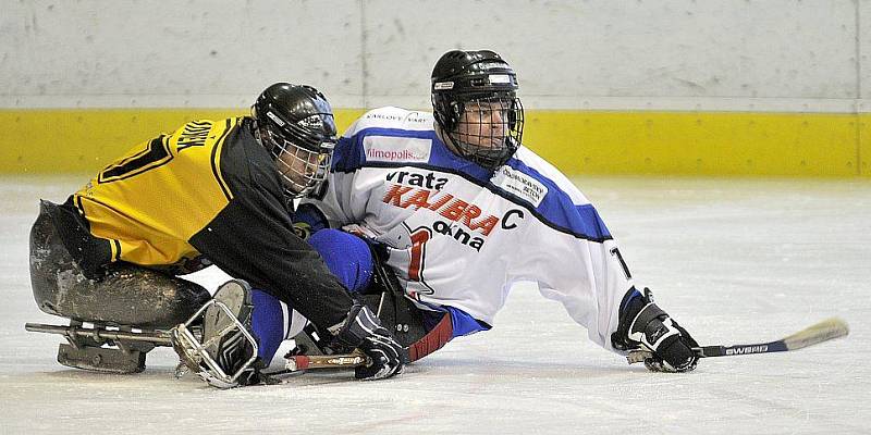 PATNÁCT BRANEK nastříleli sledgehokejisté SKV Sharks Karlovy Vary soupeři ze Studénky na zimním stadionu v Chebu. Dvě branky a dvě asistence si připsal na své konto také chebský Hrbek  hájící karlovarský a reprezentační dres..  