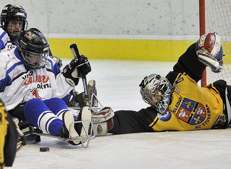 PATNÁCT BRANEK nastříleli sledgehokejisté SKV Sharks Karlovy Vary soupeři ze Studénky na zimním stadionu v Chebu. Dvě branky a dvě asistence si připsal na své konto také chebský Hrbek  hájící karlovarský a reprezentační dres..  