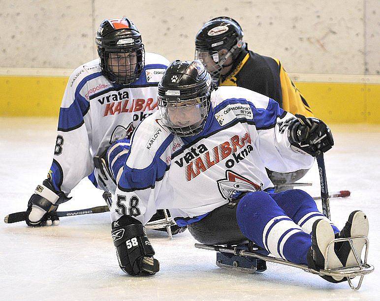 PATNÁCT BRANEK nastříleli sledgehokejisté SKV Sharks Karlovy Vary soupeři ze Studénky na zimním stadionu v Chebu. Dvě branky a dvě asistence si připsal na své konto také chebský Hrbek  hájící karlovarský a reprezentační dres..  