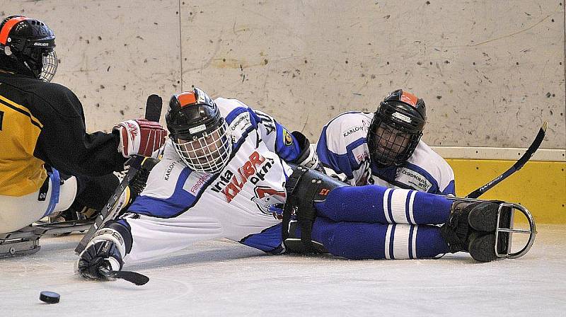 PATNÁCT BRANEK nastříleli sledgehokejisté SKV Sharks Karlovy Vary soupeři ze Studénky na zimním stadionu v Chebu. Dvě branky a dvě asistence si připsal na své konto také chebský Hrbek  hájící karlovarský a reprezentační dres..  