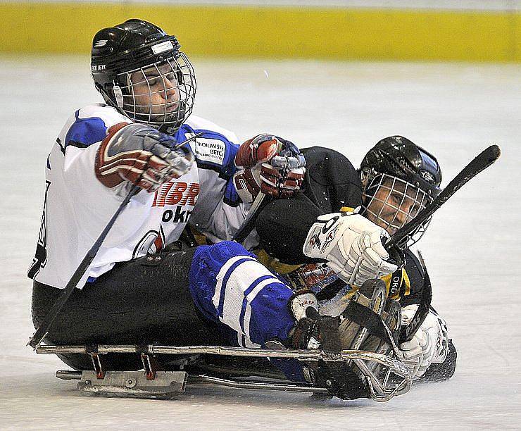 PATNÁCT BRANEK nastříleli sledgehokejisté SKV Sharks Karlovy Vary soupeři ze Studénky na zimním stadionu v Chebu. Dvě branky a dvě asistence si připsal na své konto také chebský Hrbek  hájící karlovarský a reprezentační dres..  