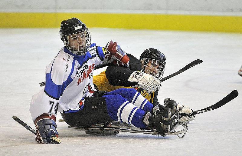 PATNÁCT BRANEK nastříleli sledgehokejisté SKV Sharks Karlovy Vary soupeři ze Studénky na zimním stadionu v Chebu. Dvě branky a dvě asistence si připsal na své konto také chebský Hrbek  hájící karlovarský a reprezentační dres..  