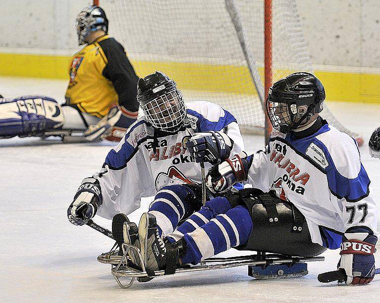 PATNÁCT BRANEK nastříleli sledgehokejisté SKV Sharks Karlovy Vary soupeři ze Studénky na zimním stadionu v Chebu. Dvě branky a dvě asistence si připsal na své konto také chebský Hrbek  hájící karlovarský a reprezentační dres..  