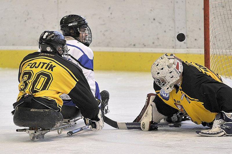 PATNÁCT BRANEK nastříleli sledgehokejisté SKV Sharks Karlovy Vary soupeři ze Studénky na zimním stadionu v Chebu. Dvě branky a dvě asistence si připsal na své konto také chebský Hrbek  hájící karlovarský a reprezentační dres..  