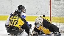 PATNÁCT BRANEK nastříleli sledgehokejisté SKV Sharks Karlovy Vary soupeři ze Studénky na zimním stadionu v Chebu. Dvě branky a dvě asistence si připsal na své konto také chebský Hrbek  hájící karlovarský a reprezentační dres..  