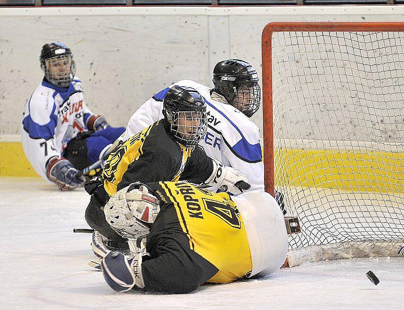 PATNÁCT BRANEK nastříleli sledgehokejisté SKV Sharks Karlovy Vary soupeři ze Studénky na zimním stadionu v Chebu. Dvě branky a dvě asistence si připsal na své konto také chebský Hrbek  hájící karlovarský a reprezentační dres..  