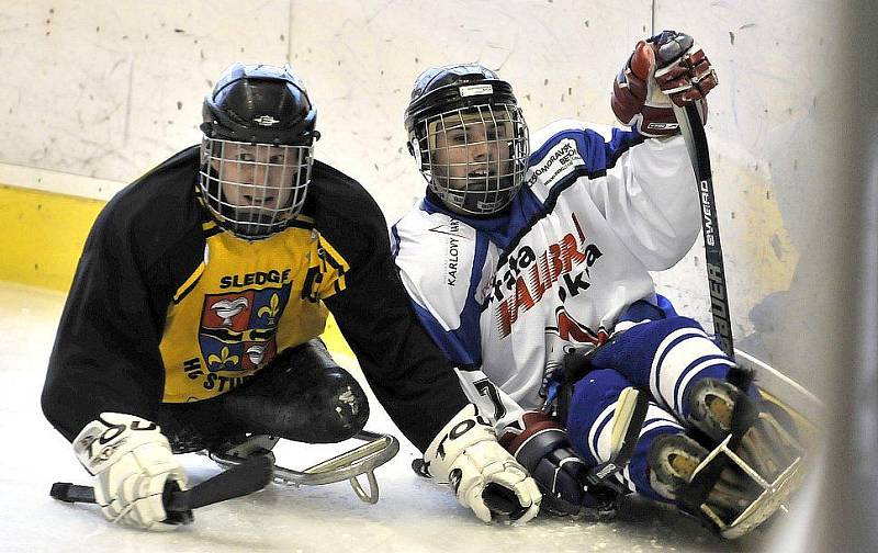 PATNÁCT BRANEK nastříleli sledgehokejisté SKV Sharks Karlovy Vary soupeři ze Studénky na zimním stadionu v Chebu. Dvě branky a dvě asistence si připsal na své konto také chebský Hrbek  hájící karlovarský a reprezentační dres..  