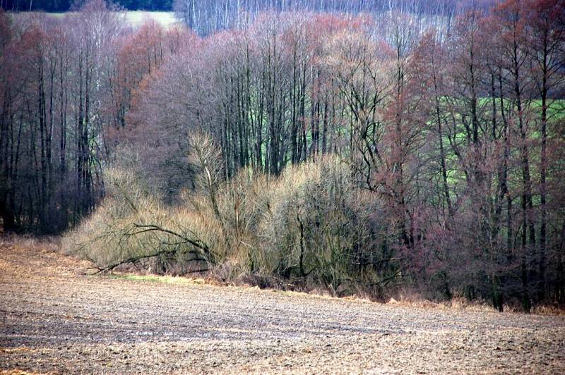 Následky sobotní vichřice na Chebsku