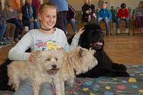 FESTIVAL POROZUMĚNÍ. Šestnáctý ročník festivalu, který propojuje svět zdravých a handicapovaných lidí, nabídl canis dílnu.