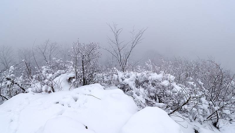 Zasněženou magickou Podhoru využili fotografové, nazdobili vánoční strom.