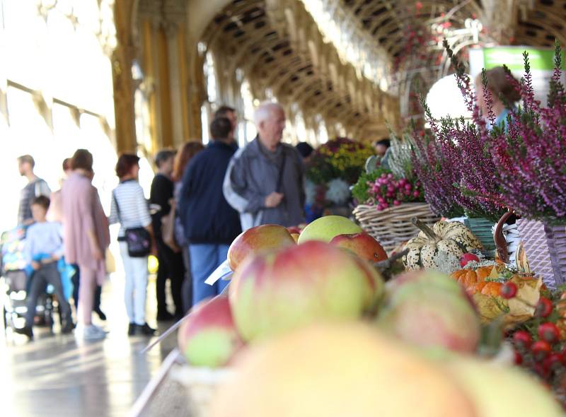 Pestrobarevná jablka a hrušky, voňavé, čerstvě upečené štrúdly a pestrobarevné dětské obrázky. Takový byl ve zkratce další ročník vyhlášeného Lázeňského festivalu jablek v Mariánských Lázních.