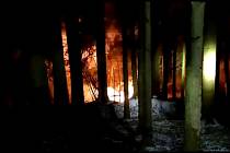 Strom spadlý do elektrického vedení způsobil v noci ze středy na čtvrtek požár lesa u Popovic na Mariánskolázeňsku.