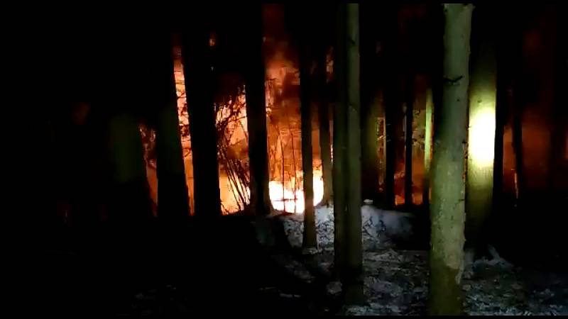 Strom spadlý do elektrického vedení způsobil v noci ze středy na čtvrtek požár lesa u Popovic na Mariánskolázeňsku.