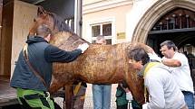 K mimořádné zápůjčce sbírkových předmětů svolilo chebské muzeum. Na výstavu do německého města Halle zapůjčilo několik osobních věcí Albrechta z Valdštejna. A to nejzajímavější - vůbec poprvé v historii chebského muzea opustí budovu i Valdštejnův kůň. 