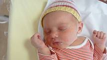 KRISTÝNA KOZLEROVÁ přišla na svět 28. června ve 12.17 hodin ve Fakultní nemocnici v Plzni. Narodila se s váhou 3 820 gramů a mírou 51 centimetrů. Z jejího narození se radují rodiče Michaela a Martin Kozlerovi z Velké Hleďsebe a bráška Vojta.