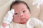 LOC DANG DINH se narodil ve čtvrtek 18. července v šest hodin ráno. Při narození vážil 3 550 gramů a měřil 52 centimetrů