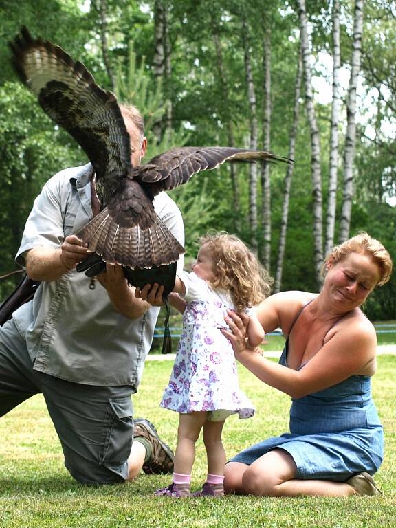 SOKOLNICKÉHO dne, který se v rezervaci Soos konal už potřetí, se mohou lidé zúčastnit i aktivně. 		 