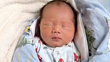 HOANG HAI LE BUI přišel na svět v pátek 20. prosince v 9.25 hodin. Při narození vážil 3 350 gramů a měřil 51 centimetrů. Z malého chlapečka se raduje doma v Chebu bráška Tony spolu s maminkou Hau.