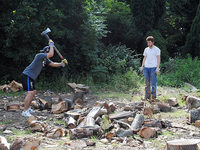 STUDENTI, kteří se objevili na zámku Kynžvart, pracují na úpravách okolí a zámecké zahrady. Prý snad bude i čas, aby si prohlédli samotný zámek. 