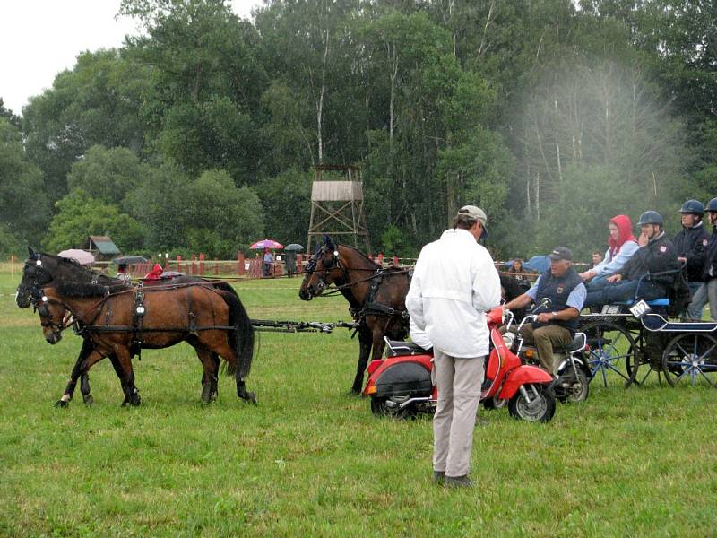 Závody spřežení v Nebanicích na Chebsku